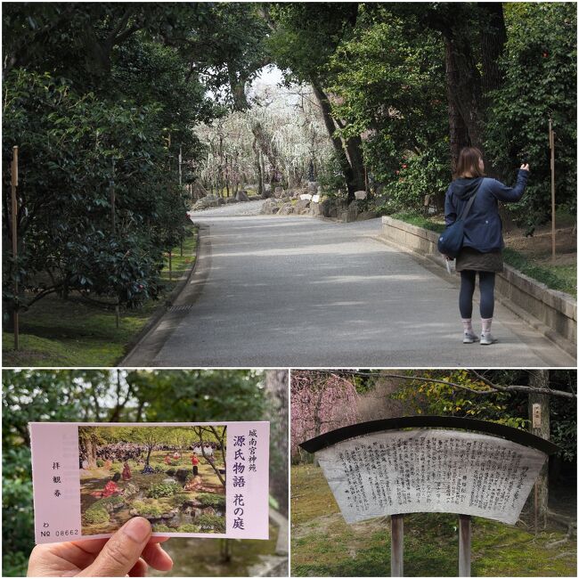 しだれ梅の咲いている「神苑」に向かいます。