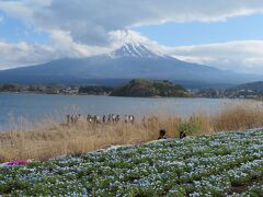 大石公園に到着。今朝、新幹線で全く見えなかった富士山（静岡側）も頂上は見えませんが雄大な姿がなんとなくわかります。