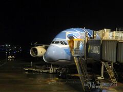 行き帰りの飛行機はフライングホヌ!!（ANA） 青の1号機。
狙っていた訳ではないのに、これに乗れたのはラッキーだった。

エアバスA380は2回目。
ゴールデンウィーク前の谷間な時期だったからか、この超巨大機が申し訳ないくらいにガラガラ。
お陰で大変快適なフライトだった。