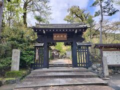 常寂光寺来たけど時間がないので