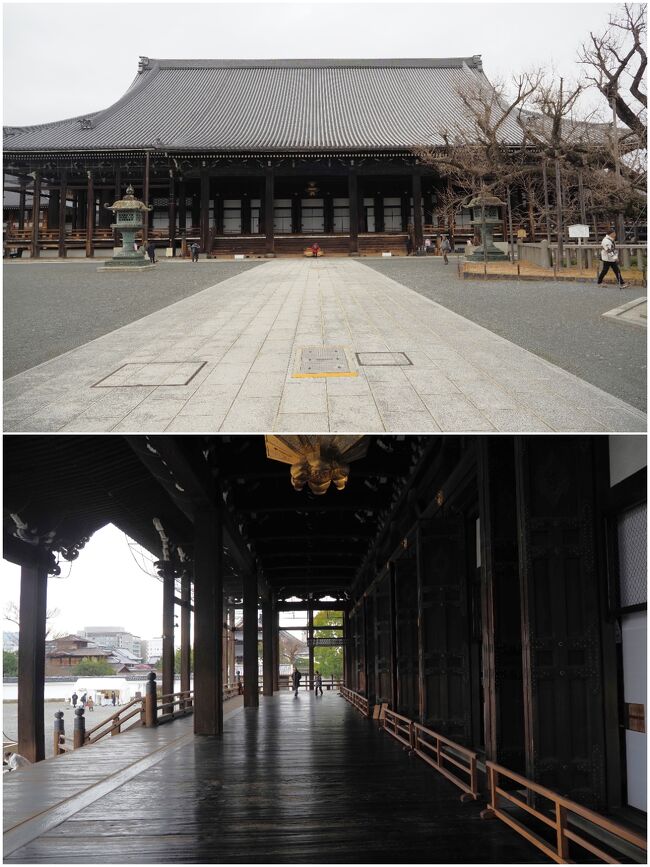 そして目の前に現れる大きな建物が「阿弥陀堂」。<br />木造にもかかわらず、圧巻の迫力があります。