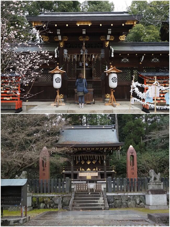 本殿横にあるのは「疫神社」。<br />少し離れたところにあるのが「織姫神社」。