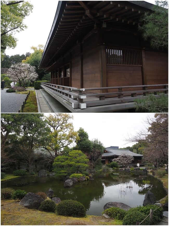 神苑の奥は落ち着いた日本庭園です。
