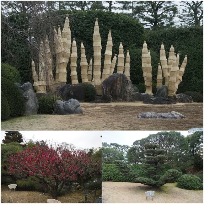 見事に剪定されています。<br /><br />城南宮 しだれ梅も二回目ですが、今回もとても素敵でした。