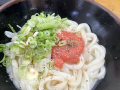 さか枝うどん 春日店
