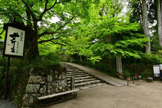 京都の奥座敷、新緑の春景色・京都大原三千院』八瀬・大原・貴船