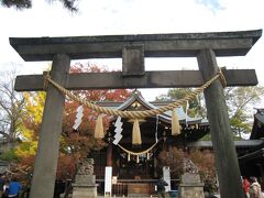 こんにちは。
１１月２３日、勤労感謝の日に、自分で自分に感謝すべく　お花を見にやって来ました。