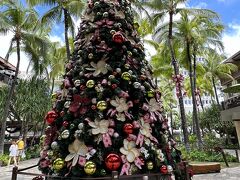ロイヤルハワイアンSCのクリスマスツリー

ええ？と思うかもしれませんが
1月も頭なら普通に有ります～
(長いのよ、11月中～1月中まで)
その後が旧正月(中華)さんに代わります

