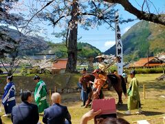 私にとっては初めての流鏑馬。今年は遅い桜の開花で満開の中で開催、と島根県知事(名前は忘れた)もご満悦の様子でした。