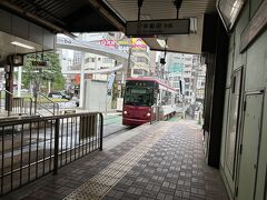 一旦宿泊するホテルに荷物を預けるため、大塚駅へ。
そのまま大塚駅から池袋まで移動します。路面電車ってワクワクしますね。