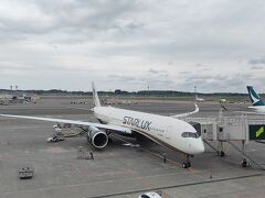 　こちらがこれから乗る飛行機です。タリーズからも見ることができました。