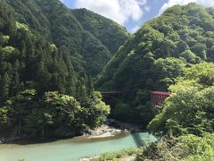 新緑が気持ちいい！