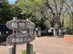 お天気が良いので北海道大学の植物園へ。