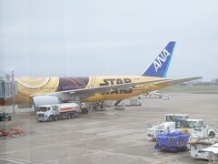 伊丹空港8時発のＡＮＡ。
スターウォーズジェットだーと思って撮ってたら、乗ったのもコレでした。