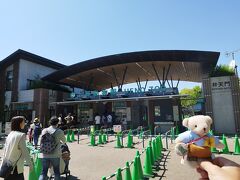 上野動物園は、明日は無料一般公開