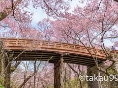 高遠城址公園（日本さくら名所100選）