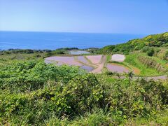 東後畑棚田