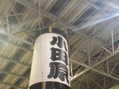 小田原駅　小田急線で帰りました。