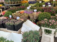 次は花市場
花屋さんがたくさんあります