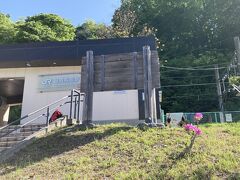 8:30　日向和田駅到着！

シャクナゲがきれい