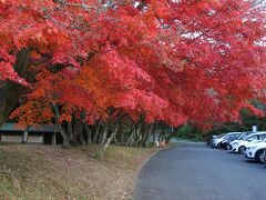 寂光院の駐車場です。
京都大原に同名の寺院がありますが、こちらは飛鳥時代に建立された由緒ある寺院です。

寂光院は名鉄を挟んで犬山城の反対側に建立されています。
「尾張のもみじ寺」とも称される紅葉の名所で、紅葉時期は大混雑します。
私もこちらは紅葉の名所と認識していたので、紅葉を見る為に訪ねました。
駐車場はどこも満杯で、こちらと河川敷の駐車場が空いていたので、紅葉に誘われてこちらに停め、歩いて行きました。

なお、私は奥に見える坂道を上っていったのですが、そちら経由ですと結構な坂道の上り下りが発生します。
川沿いに県道185号を真っ直ぐ東に進むと寂光院の一之門があり、そちらからも上り坂ではありますが、よほど短時間で参道入口まで辿り着けます。
県道185号は歩道が無いので注意が必要ですが、時間を短縮したい場合はそちらのルートをおすすめします。