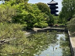 東寺は大変静かで空いていました。駐車場も余裕ありそうでした。