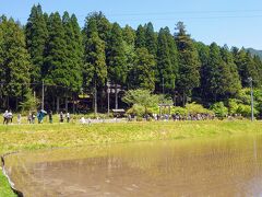 最初の目的地「モネの池」に１２時５０分頃到着…

田園風景の中に人集りができている様子が違和感w

なお、駐車場は「名もなき池第一駐車場」を利用しました(^^)