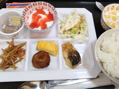 翌日。
朝ご飯も付いてる。
モリモリ食べました。
今回の旅行の行き先を茨城に決めた理由が、ゴールデンウィークなのに安くて朝ご飯まで付いてる宿をつくば近くで見つけたからというのが大きい。
