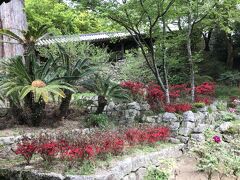 長谷寺