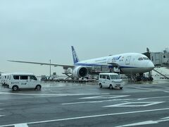 今回の旅行も羽田空港からスタートです。初のサテライトから出発します。