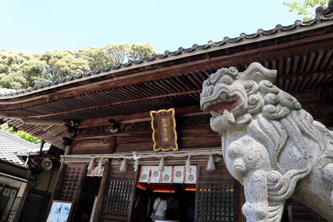 狛犬様にごあいさつ