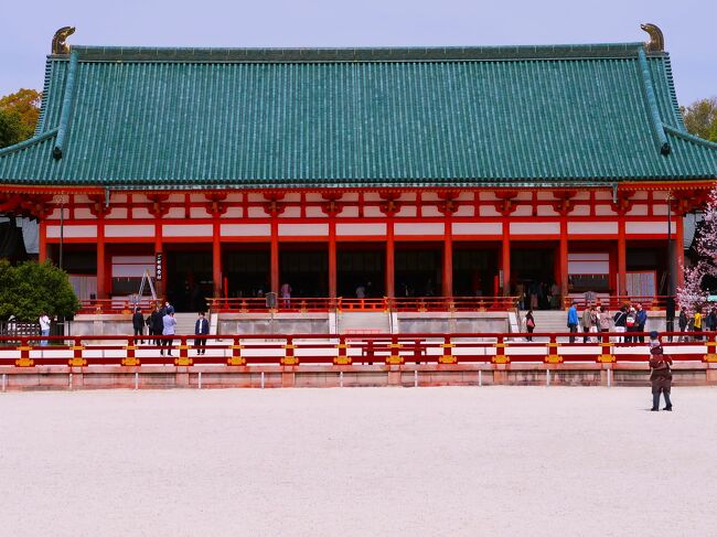 京都-7 平安神宮a 《 左近の桜 》華麗な姿 ☆平安京/朝堂院を模