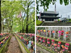 【増上寺，東京タワー，麻布台ヒルズ】

そぼ降る雨の中，モノレール浜松町駅から徒歩で麻布台ヒルズに向かいます（最寄駅の「神谷町」は，羽田から公共交通機関で行くには乗換えが面倒）。

むせ返るような栗（カシかコナラかな）の花の匂いに包まれる増上寺。「千躰子育（せんたい こそだて）地蔵菩薩」の風車と赤い帽子，赤い前掛けが目に鮮やか。

浜松町駅から東京タワーは，わりと近そうに見えるけれども歩くと結構遠かった。東京タワー通りから「飯倉」の交差点に出たら，直進してロシア大使館の方には上がらずに，右折して「神谷町」駅方面に下りていった方がラクそうです。浜松町から増上寺に寄り道して東京タワー下から麻布台ヒルズまで，徒歩30分程度。