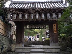 たくさん階段を上り、下りて円山公園を通り、高台寺に。