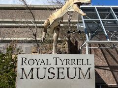 本日の目的地、ロイヤルティレル博物館に到着。