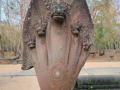 アンコール遺跡群（世界遺産）の一つであるベンメリア寺院に一番乗りで到着しました。ここは、アンコールパスで入場OKです。
11世紀末～12世紀初頭に建築されたと推測されているそうです。
ベンメリアの入り口の蛇神ナーガの像。