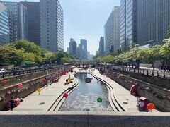 相変わらずきれいな清渓川でした。