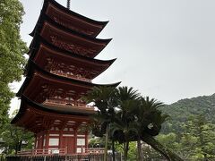 厳島神社の側に五重塔の朱色がきれいに映えていました