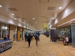 ご飯を食べ終わってお酒のお代わりをいただいてちょっと経ったら、もうチャンギ国際空港に到着です。なんか思ってた以上に順調

ということでふと思い立つ。
定刻通り飛んでくれたので、今の時刻はまだ20時前。
成田行きの便の出発時刻は23時55分。
荷物はすべてスルーチェックインしたため、今の自分はリュック1つで身軽に動ける。
そしてチャンギ国際空港は規模の割に構造がわかりやすく割と動きやすい。

「…これ、空港隣接のジュエルまでなら行けるのでは？」と。