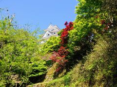 ＧＷだけなのか知らんけど、城山公園が臨時？駐車場になっています(^^)

上にある駐車場へ行くことができなかったので、義父と妻は登城を断念し、私だけ行ってきます(^^)