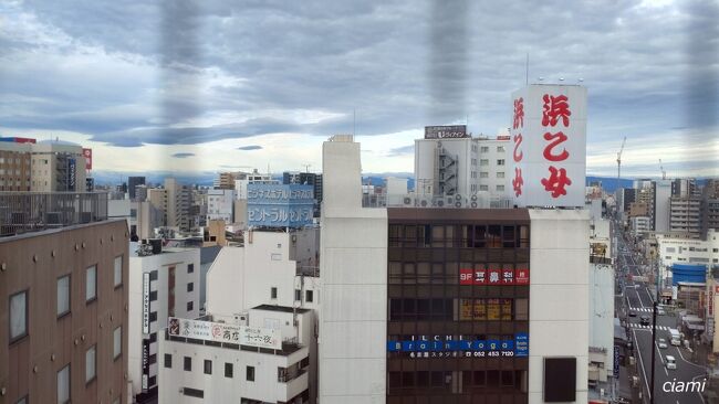 ホテルのお部屋から見えるのは、ビル。<br /><br />今日もお天気悪いのかな。