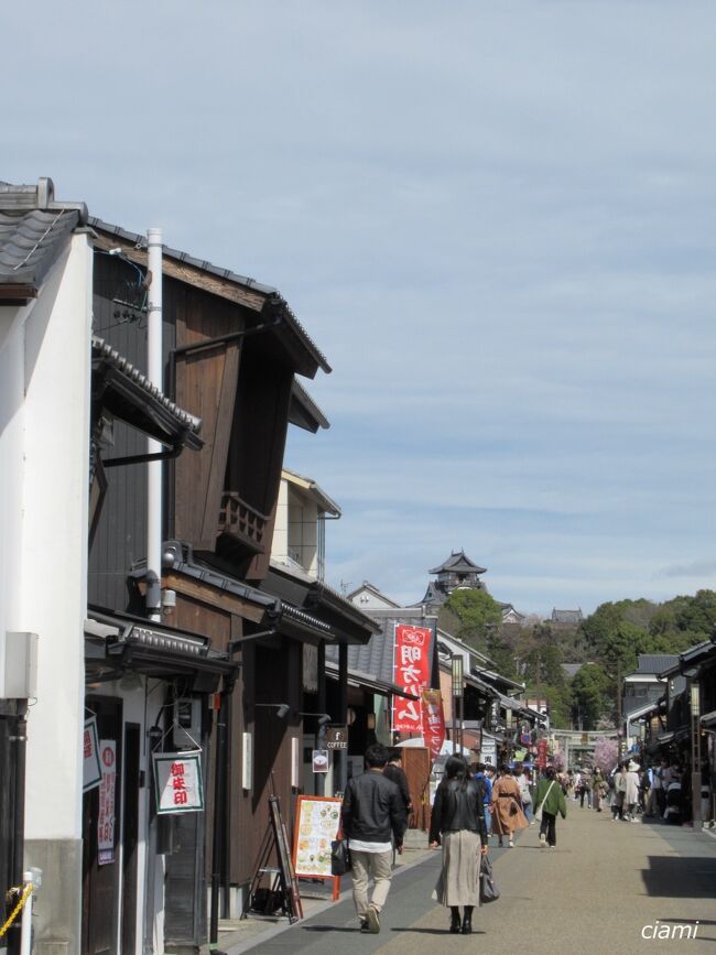 あっ、天守見えた。