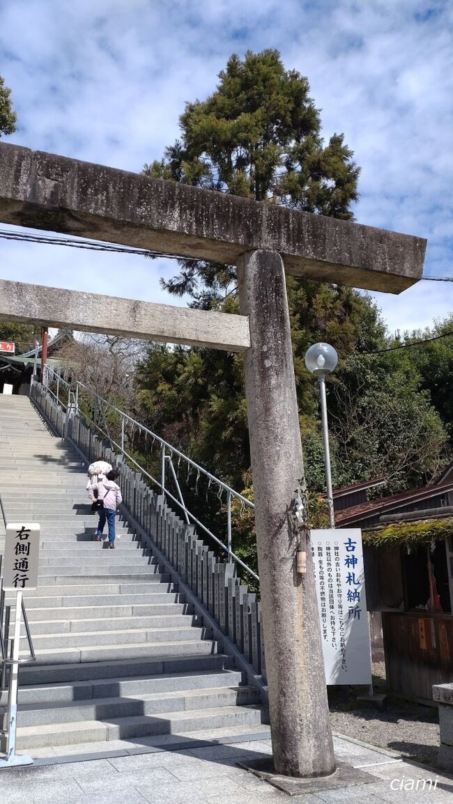 いいお天気と、桜のお礼に、階段上がってお参り。