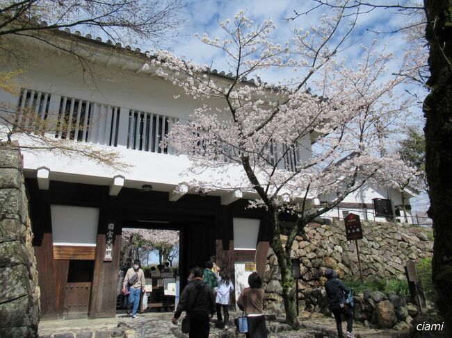 本丸門くぐると、