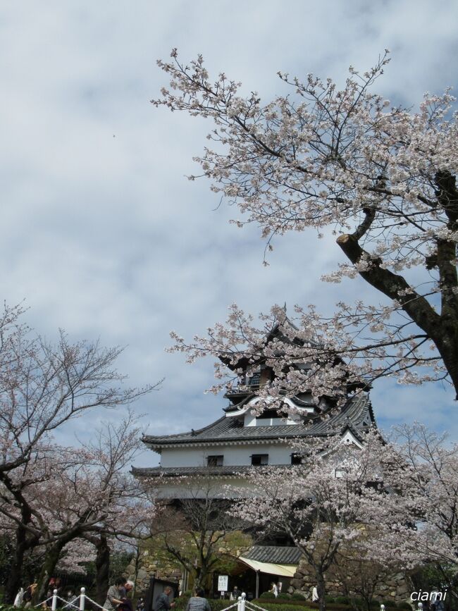 きれいだから、