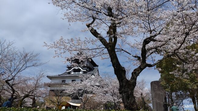 何枚も撮っちゃう。