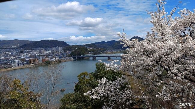 きゃ～、絶景！