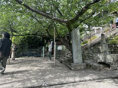 千光寺に到着してしまいました。
階段の上りが多く、回る順番を間違えていました。
ロープウエイは絶対に乗るべきだと思います。