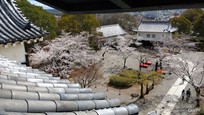 ほんとにいいタイミング。