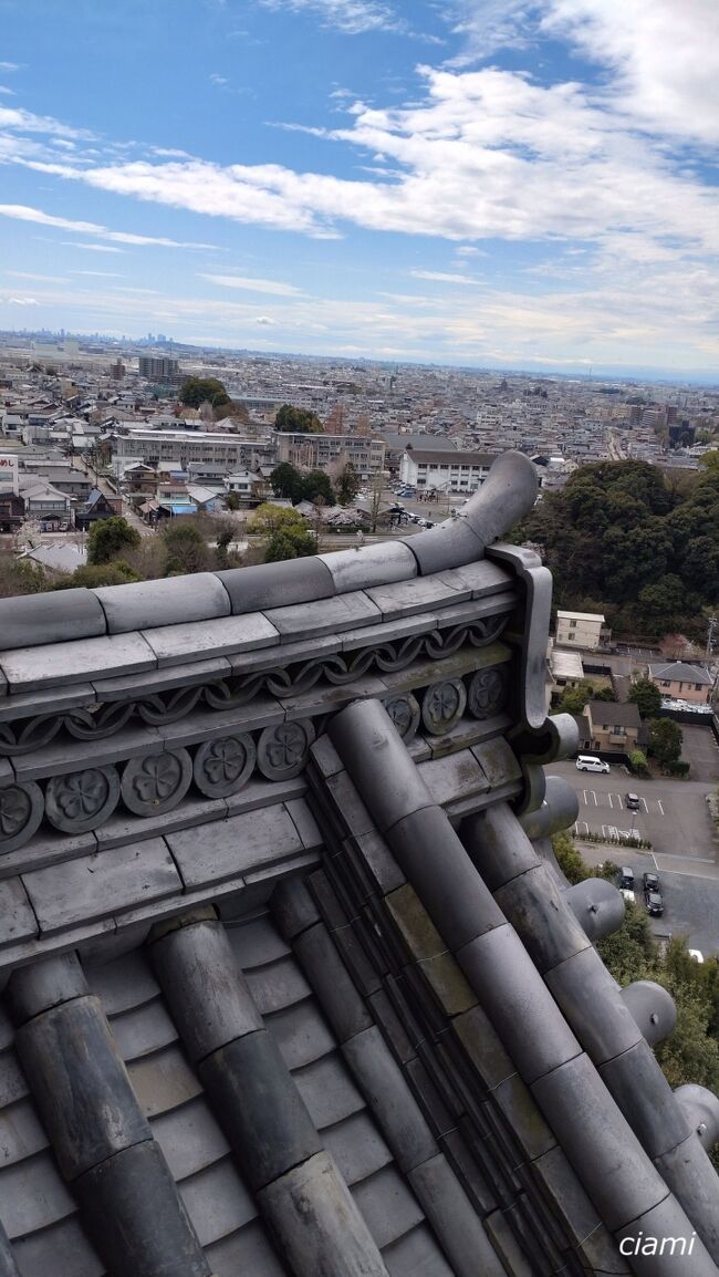 遠くに見えてるのは、名古屋？